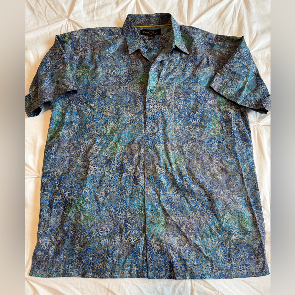 Blue and Green Short-Sleeve Button-Down Shirt